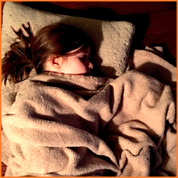 資格のカリキュラムと学べること